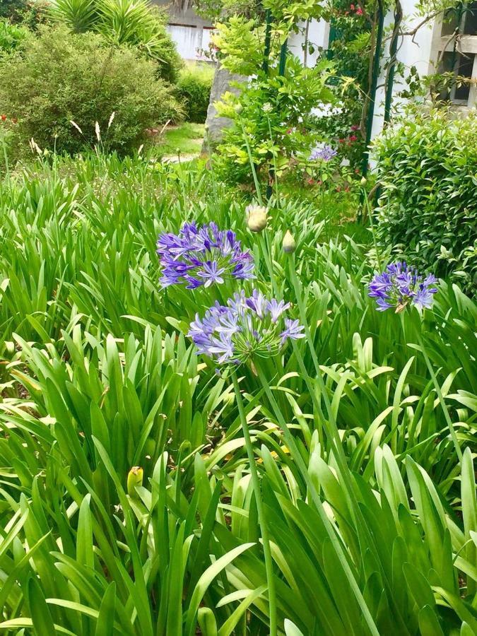 Cascais Seaside Garden Villa Zewnętrze zdjęcie