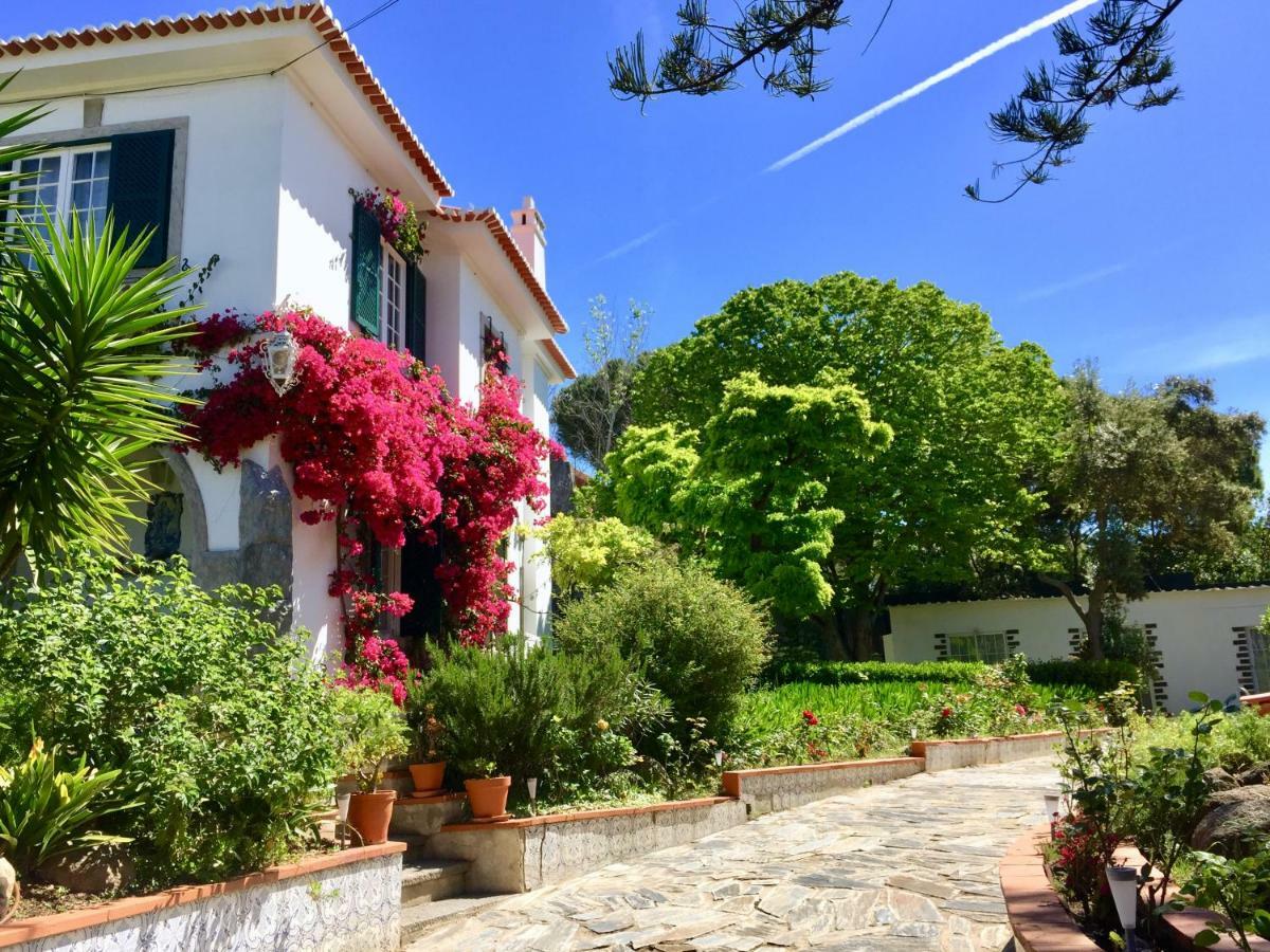 Cascais Seaside Garden Villa Zewnętrze zdjęcie